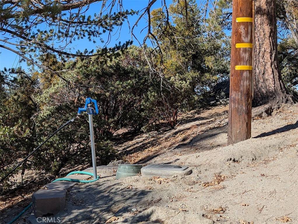 Idyllwild, CA 92549,0 Schaffer