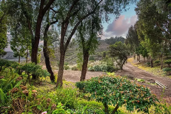Laguna Niguel, CA 92677,25536 Rue Terrase #17