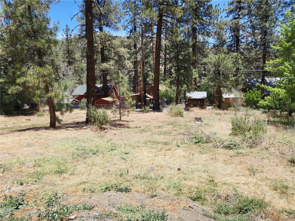 1322 Edna ST, Wrightwood, CA 92887