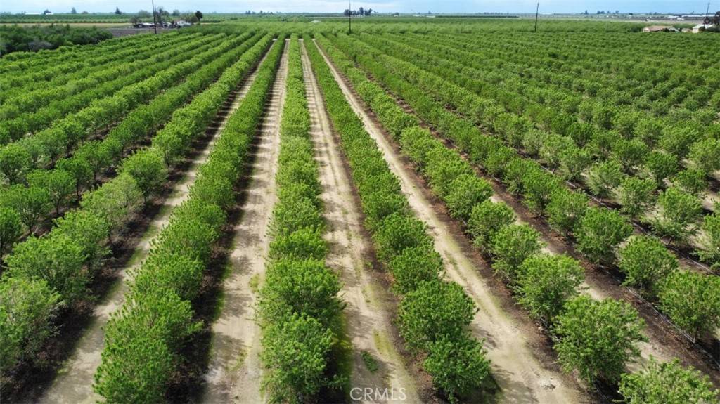 13307 Avenue 22 1/2, Chowchilla, CA 93610