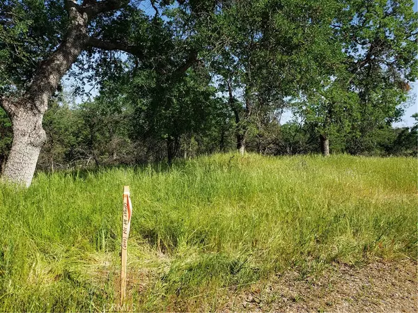 Coulterville, CA 95311,3241 Chicharra WAY