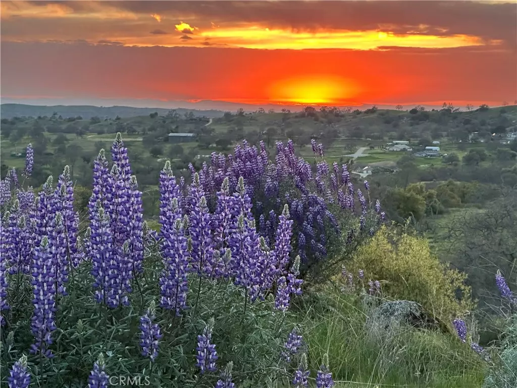 Raymond, CA 93653,0 Spinecup Ridge