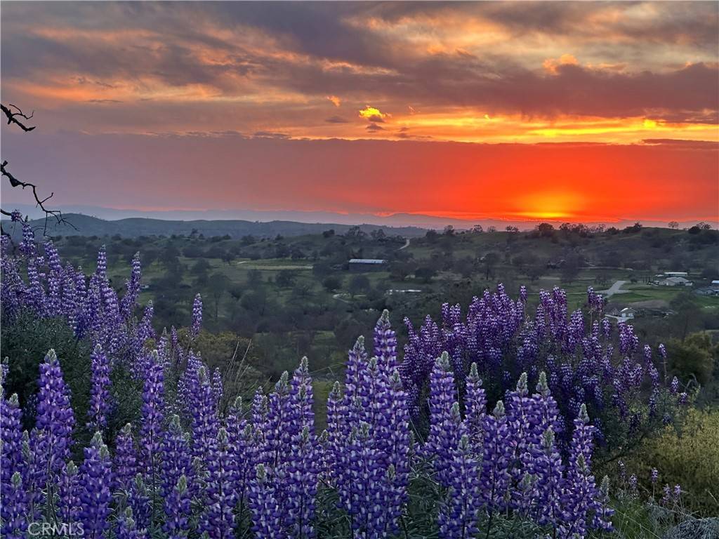 Raymond, CA 93653,0 Spinecup Ridge