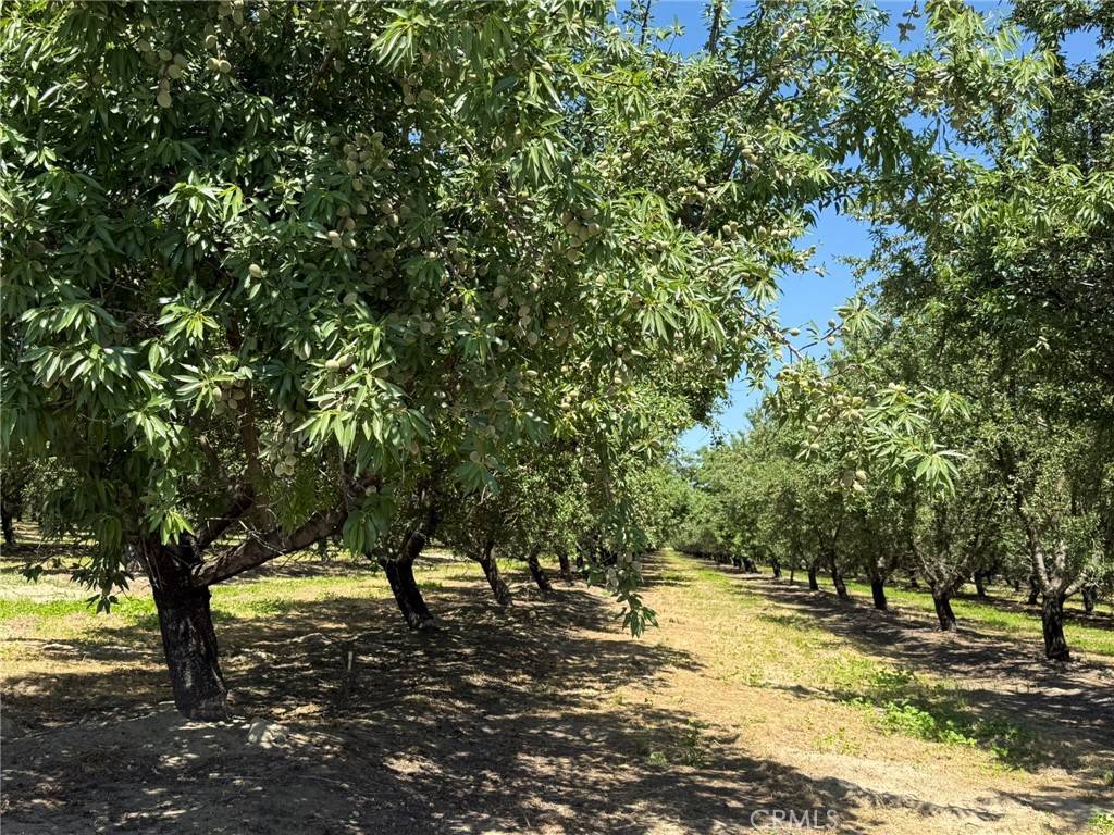 Livingston, CA 95334,0 Sunset Cut