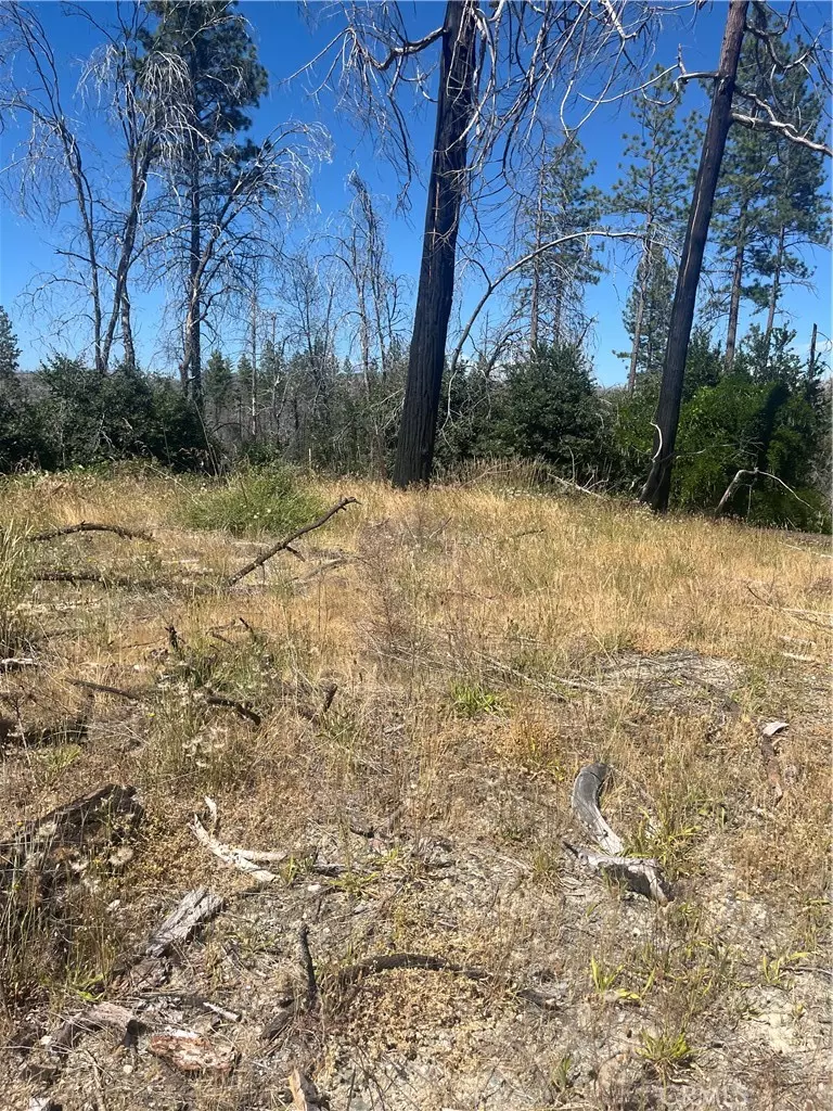 Berry Creek, CA 95916,122 Simpson Ranch RD