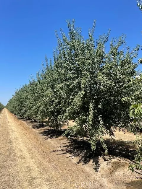 Firebaugh, CA 93622,0 Russell