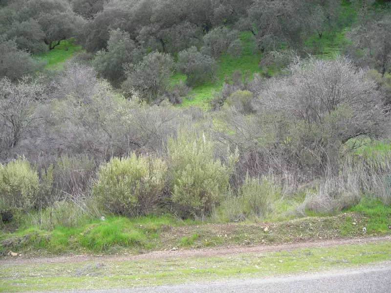 King City, CA 93930