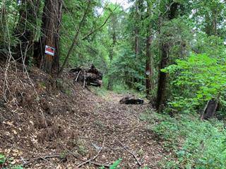 Boulder Creek, CA 95006