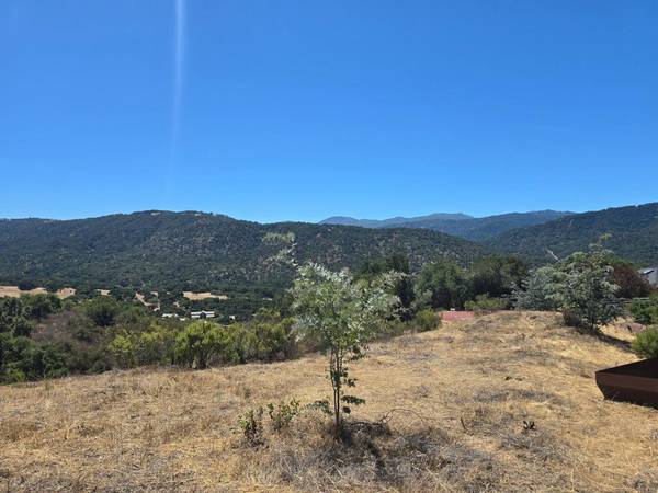 Carmel Valley, CA 93924,350 VIA LOS TULARES