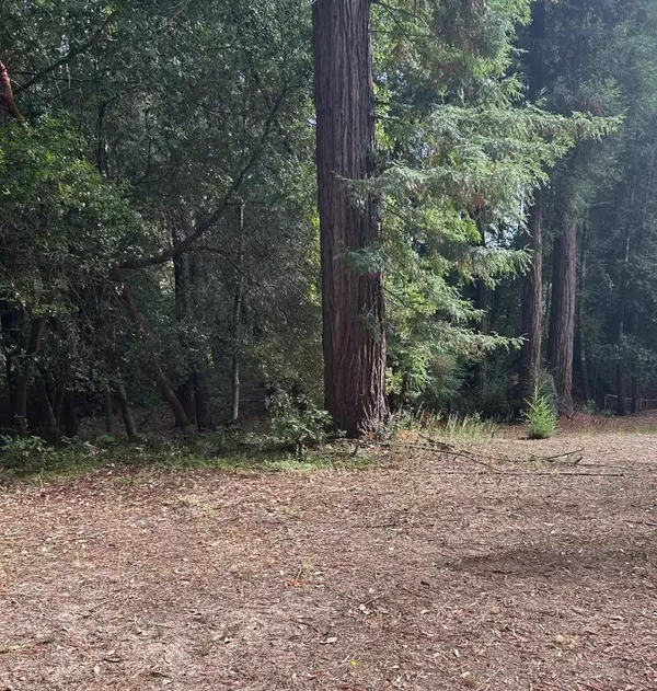 Boulder Creek, CA 95006,104 Mcpherson CT