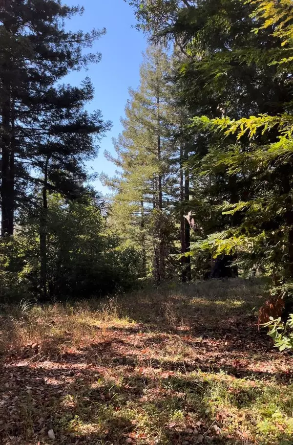 Felton, CA 95018,0 E Upper Zayante