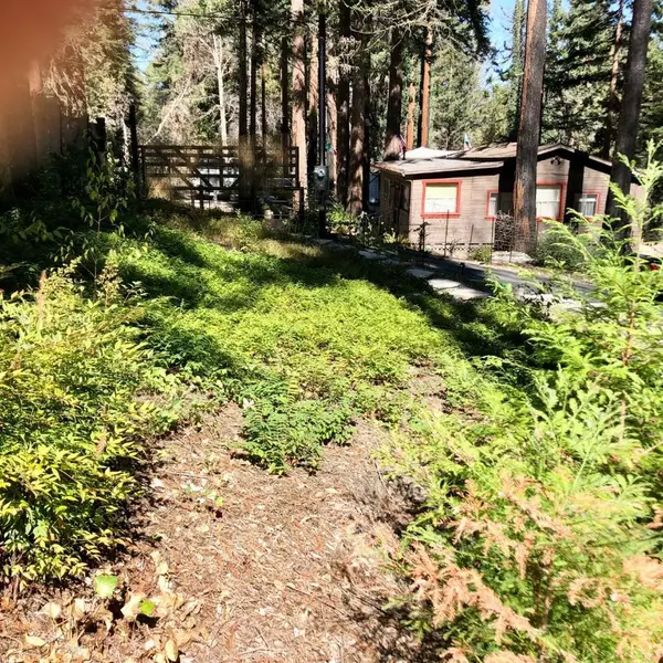 Boulder Creek, CA 95006,141 Beaver RD