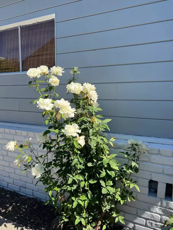 San Leandro, CA 94577,824 Dolores AVE