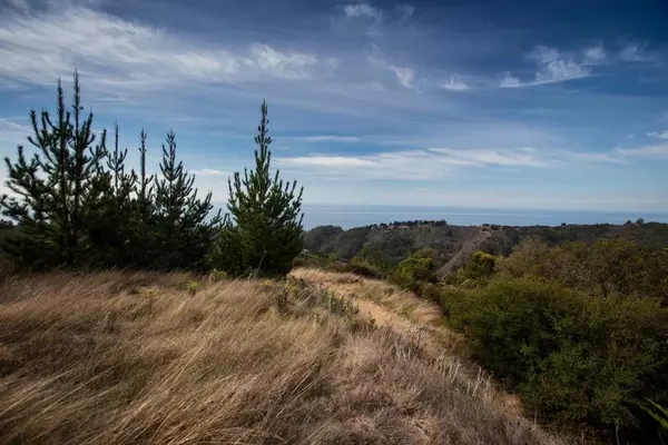 Big Sur, CA 93920,46286 Pfeiffer Ridge RD
