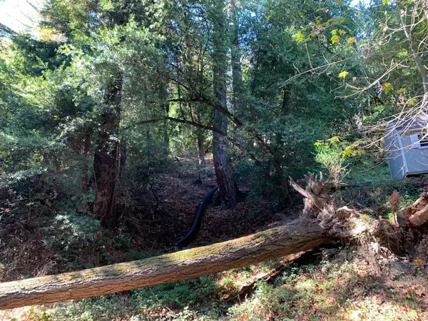 21741 Lindbergh DR, Los Gatos, CA 95033
