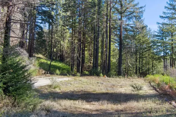 Boulder Creek, CA 95006,266 W Hilton DR