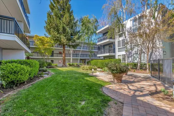 Mountain View, CA 94040,183 Del Medio AVE #206