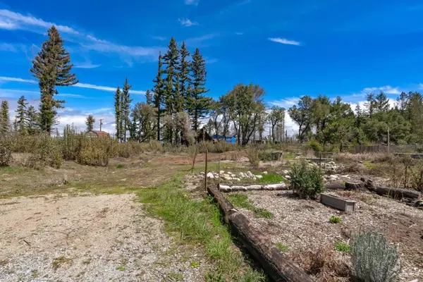 Santa Cruz, CA 95060,335 Braemoor DR