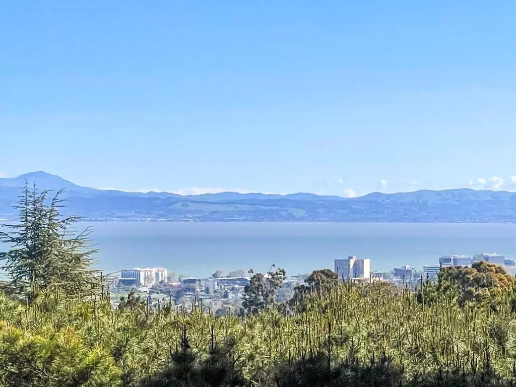 Hillsborough, CA 94010,45 Patton PL