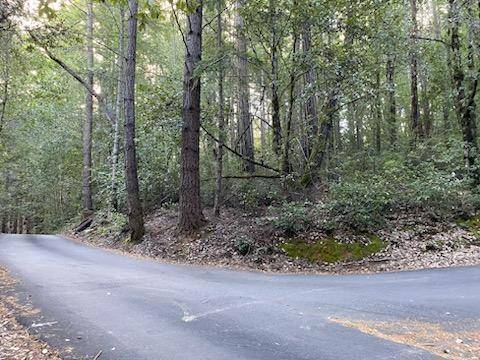 Santa Cruz, CA 95060,0 Warren
