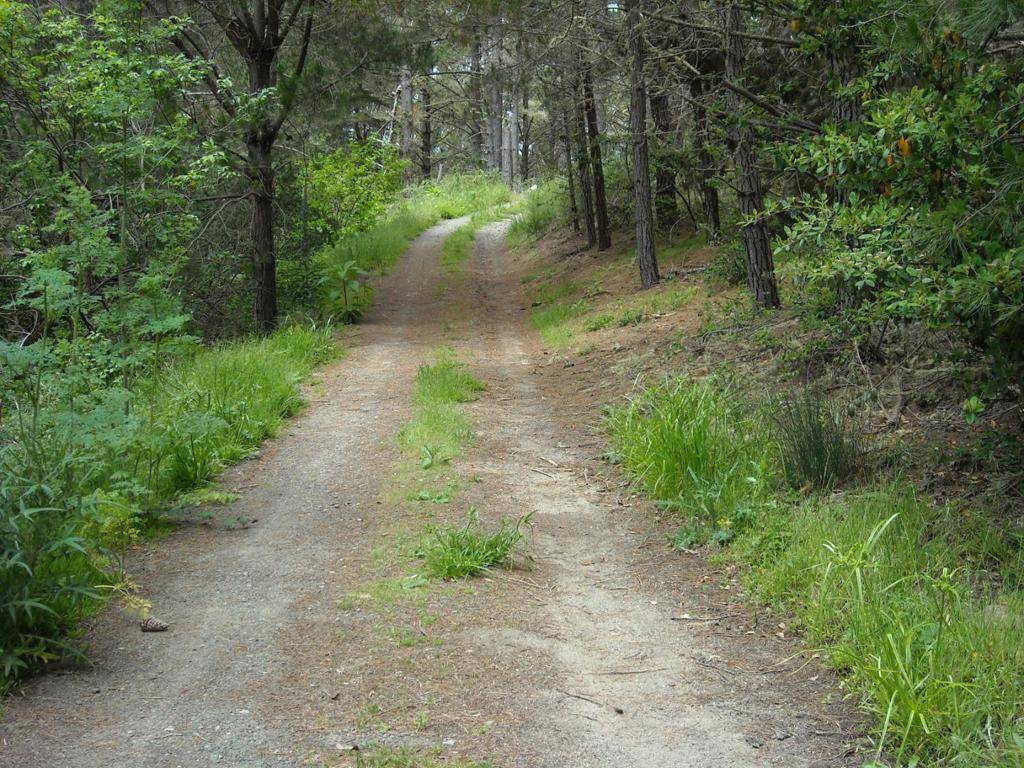 Montara, CA 94037,700 Cedar St.