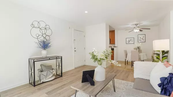 San Jose, CA 95128,947 Catkin CT