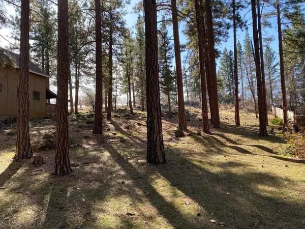 Susanville, CA 96130,40 Inspiration Point RD