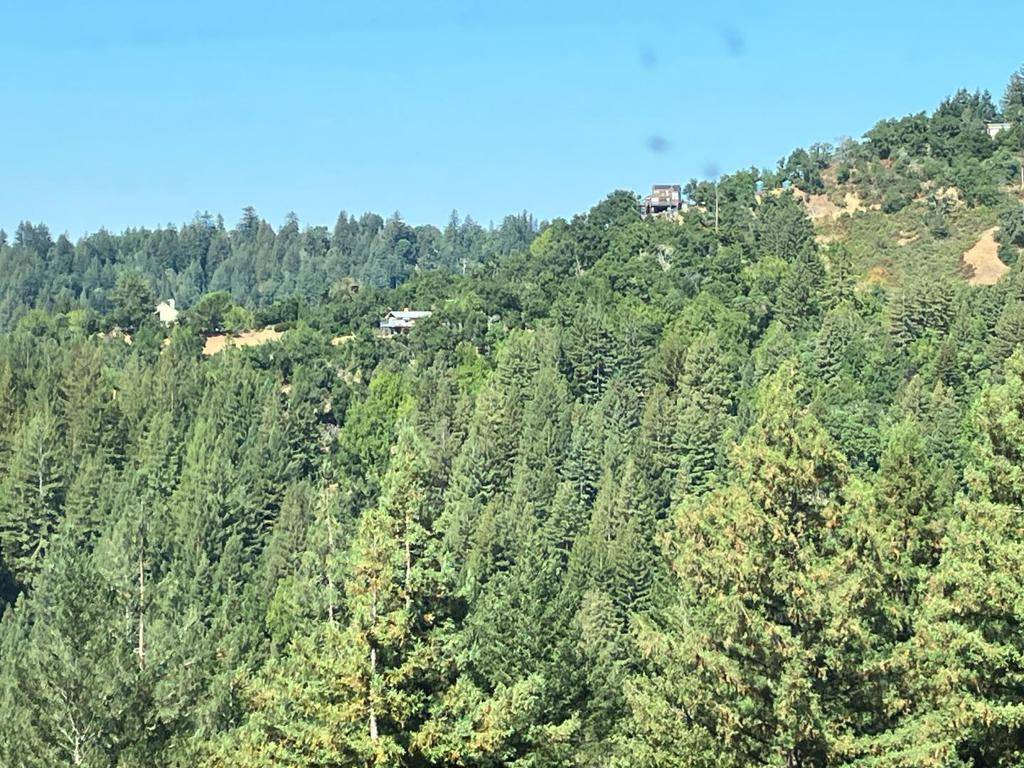 Los Gatos, CA 95033,0 Old Logging RD