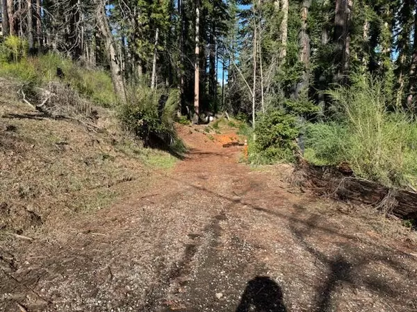 Boulder Creek, CA 95006,791 Summit DR