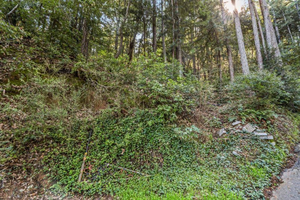 Felton, CA 95018,Coleman AVE
