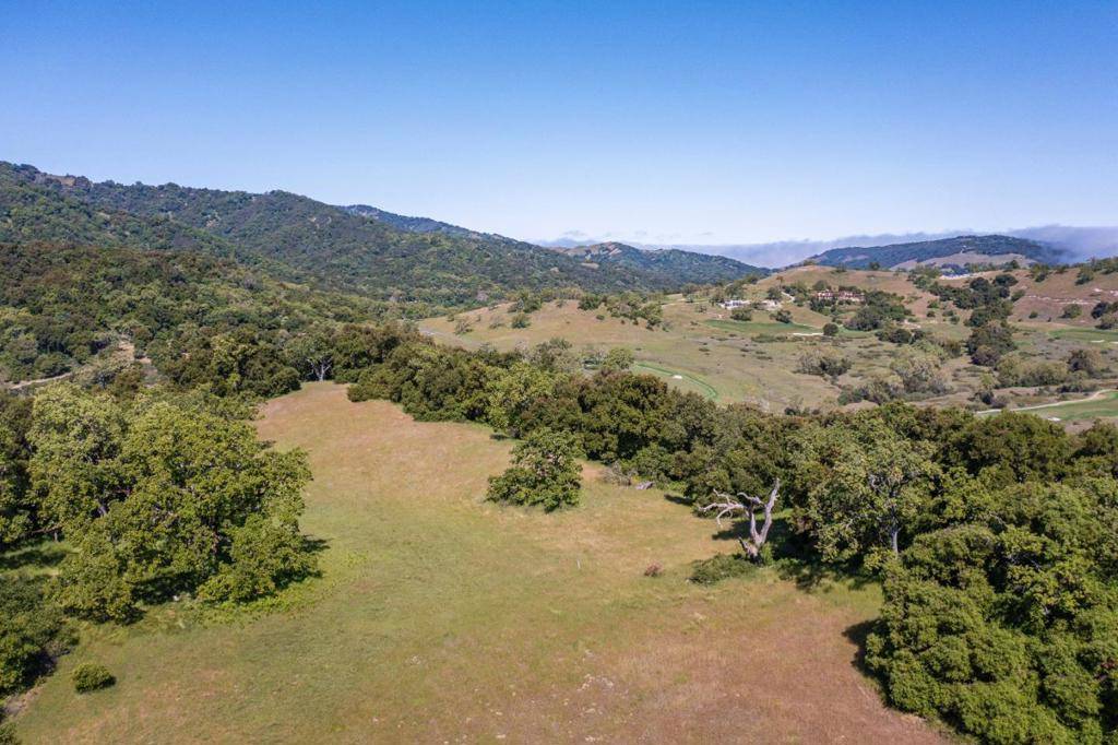 Carmel, CA 93923,29 Arroyo Sequoia