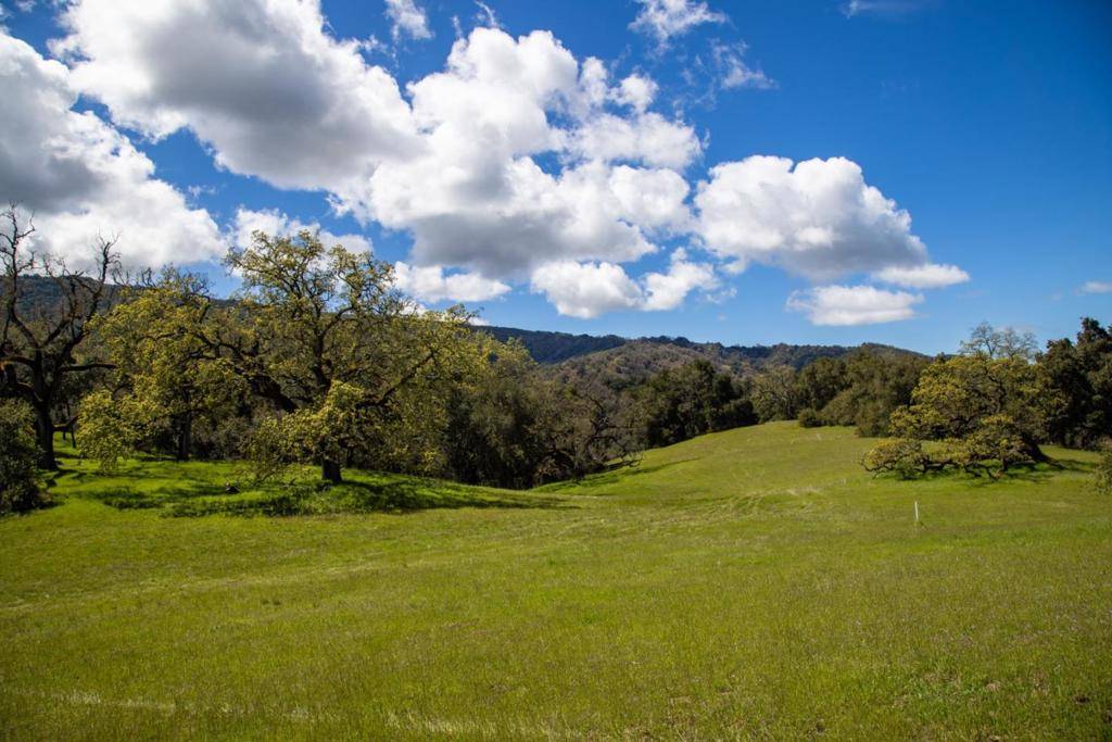 Carmel, CA 93923,29 Arroyo Sequoia