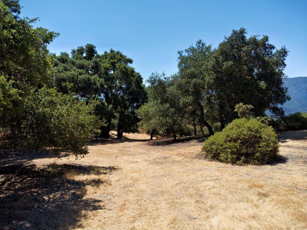 Carmel, CA 93923,57 Chamisal