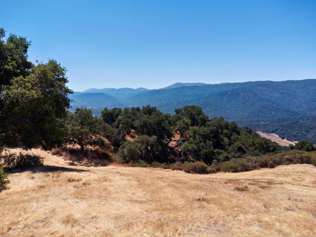 Carmel, CA 93923,57 Chamisal