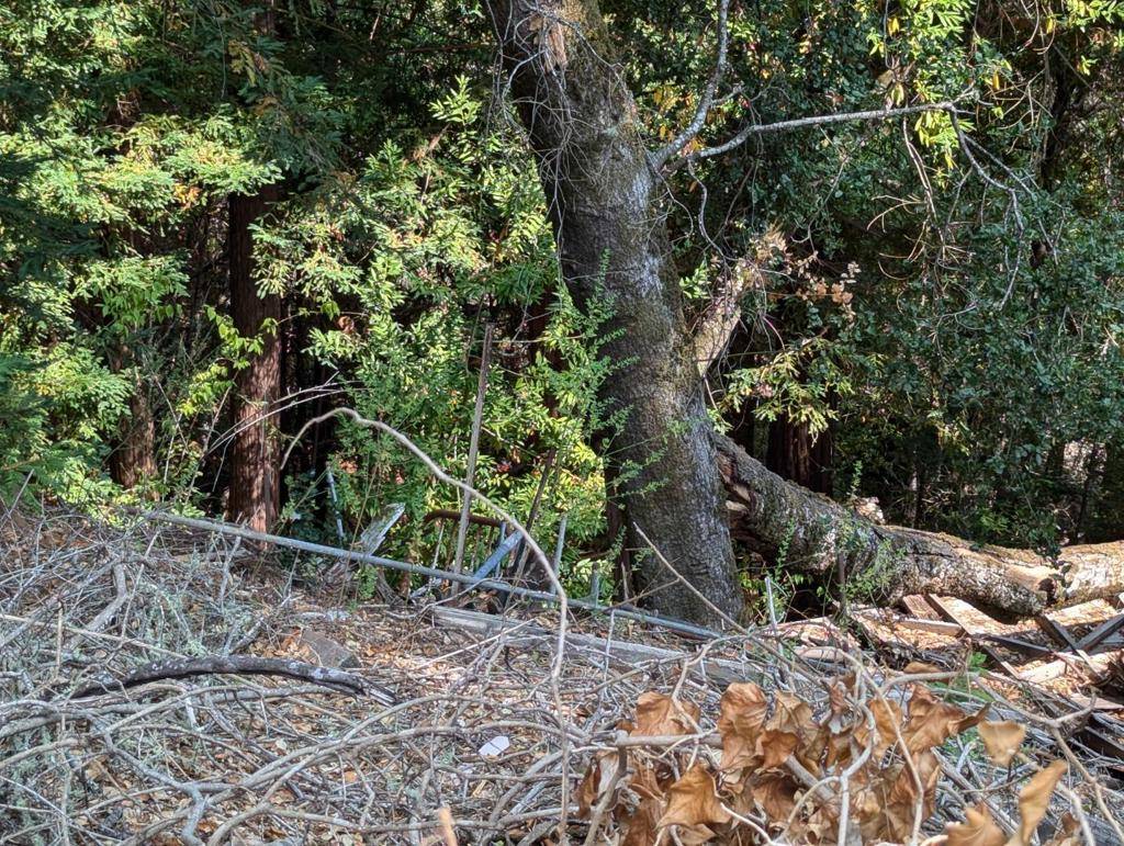 Los Gatos, CA 95033,0 Glenwood