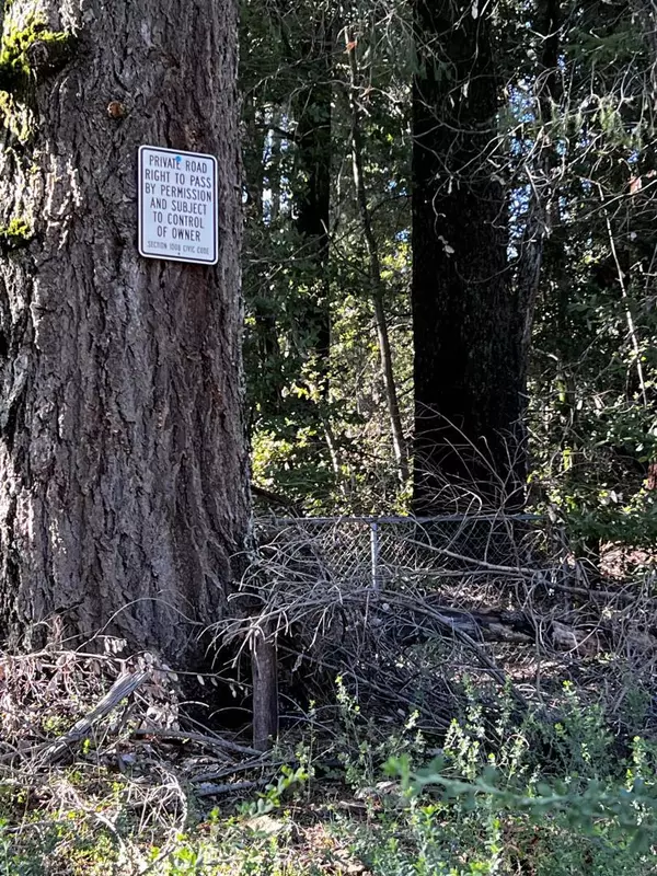 Los Gatos, CA 95033,15799 Skyline BLVD