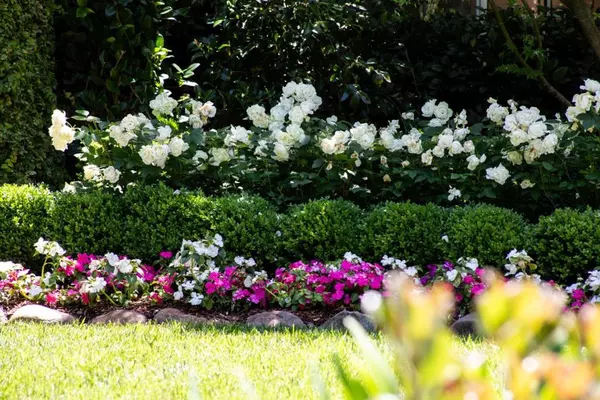 Redwood City, CA 94061,927 Whitehall LN