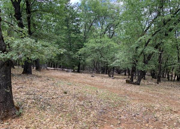 Loch Lomond, CA 95461,8655 Harrington Flat Road