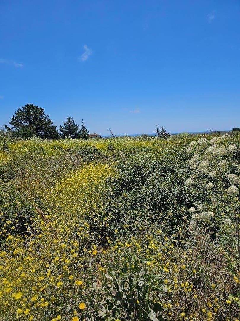 0 Vienna, Half Moon Bay, CA 94019