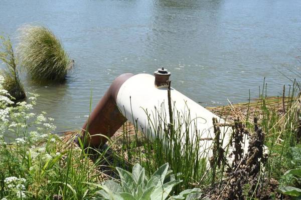 Isleton, CA 95641,16637 Tyler Island Road