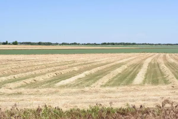 Isleton, CA 95641,16637 Tyler Island Road