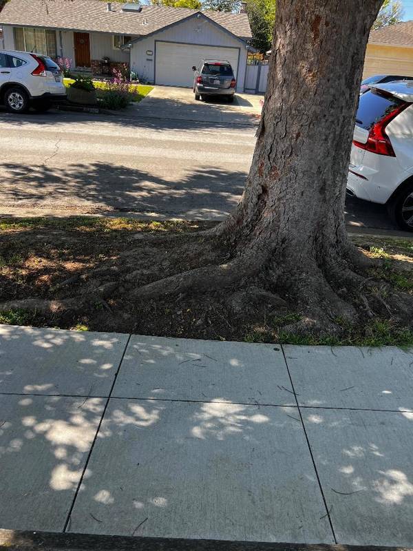 4955 Bela, San Jose, CA 95129