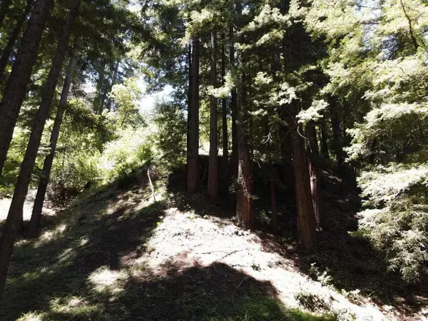 Boulder Creek, CA 95006,305 Mcgaffigan Mill RD #1