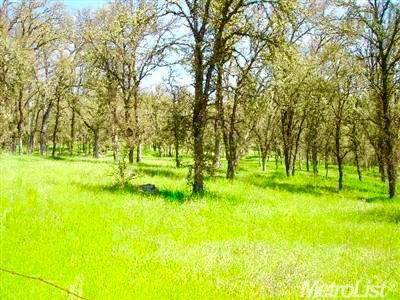 0 Grassy Run RD, Placerville, CA 95667