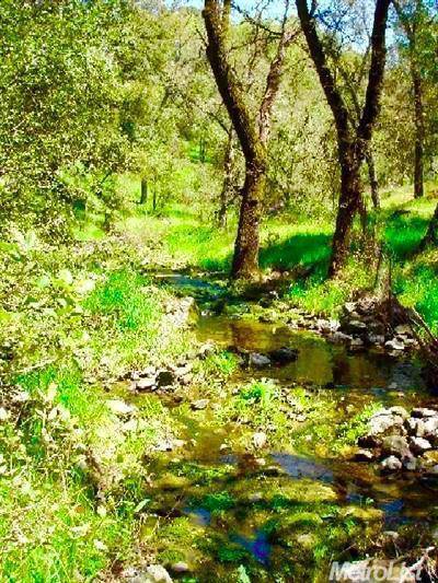 Placerville, CA 95667,0 Grassy Run RD
