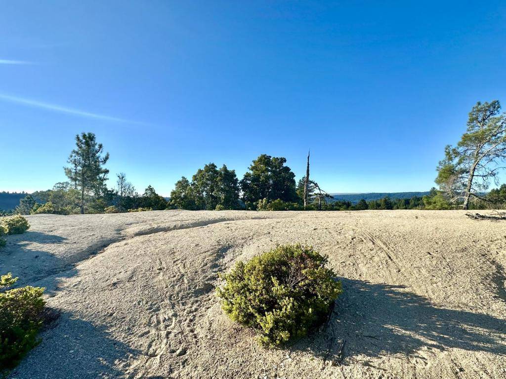 Felton, CA 95018,10001 West DR