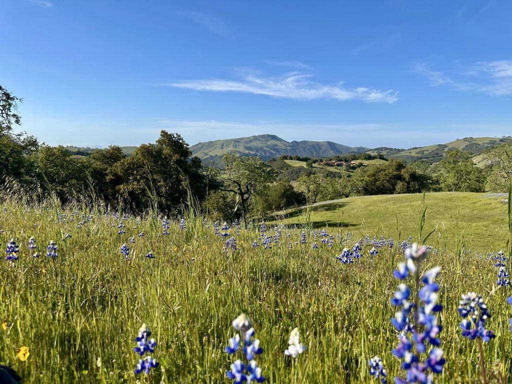 Carmel, CA 93923,8 Touche