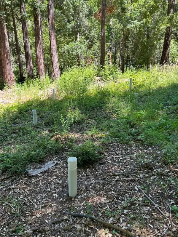 Boulder Creek, CA 95006,18880 Highway 9