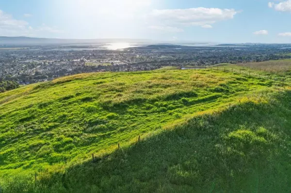 Milpitas, CA 95035,1339 Terra Vista CT