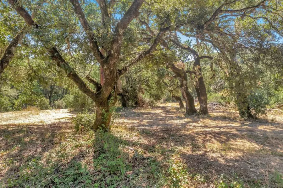 250 Heacox RD, Woodside, CA 94062
